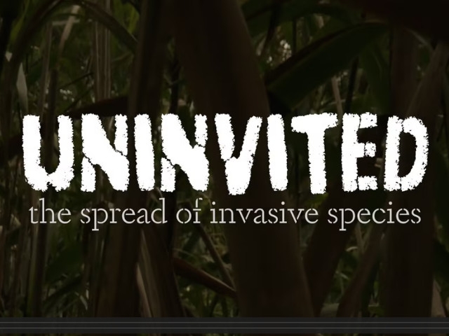 DEC Announces Nov. 1 Release of "Uninvited: The Spread of Invasive Species"