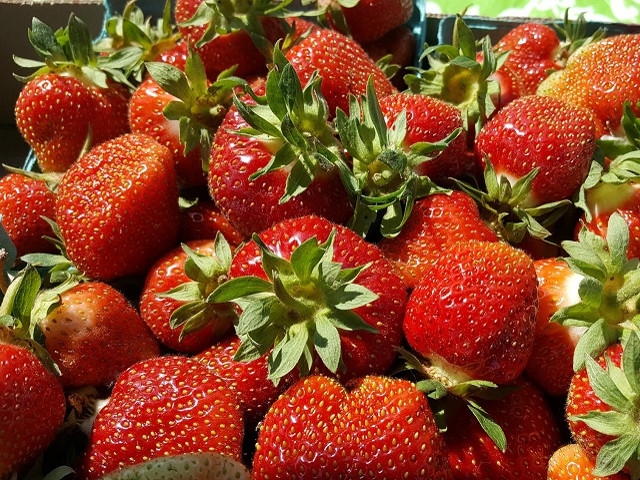 GOFCC and Partners to Launch Farmers Market in June