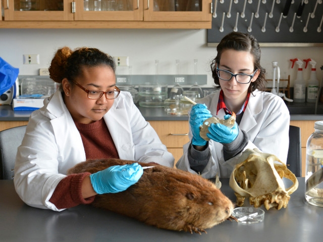Grant Supports Student Experiences with Rice Creek Collection