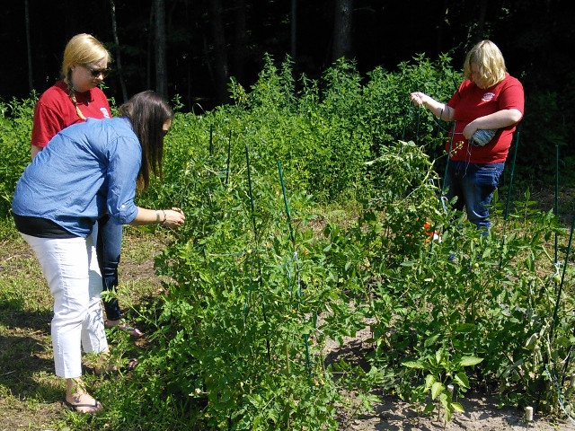 CCE to Hold Workshop on Establishing a Community Garden