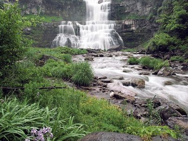 2018 Mother’s Day Wildflower Wander at the Amboy 4-H Environmental Education Center