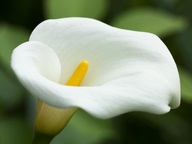 James L. Blanchard – September 15, 2019