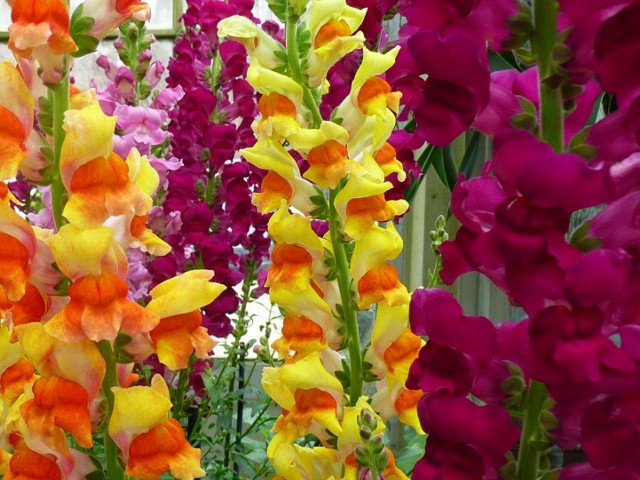 Betty Tetro – December 3, 2022