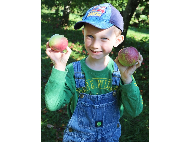 Charles E. Riley UPK Students Learn All About Apples