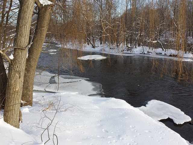 Enjoy a Flurry of Activities at 2019 Salmon River Winter Festival